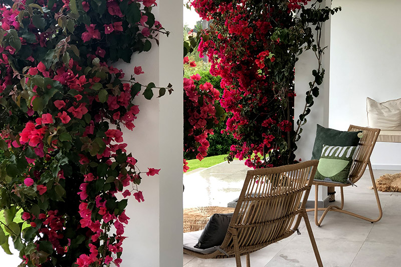 Renovation of a Single-Level Andalusian Villa